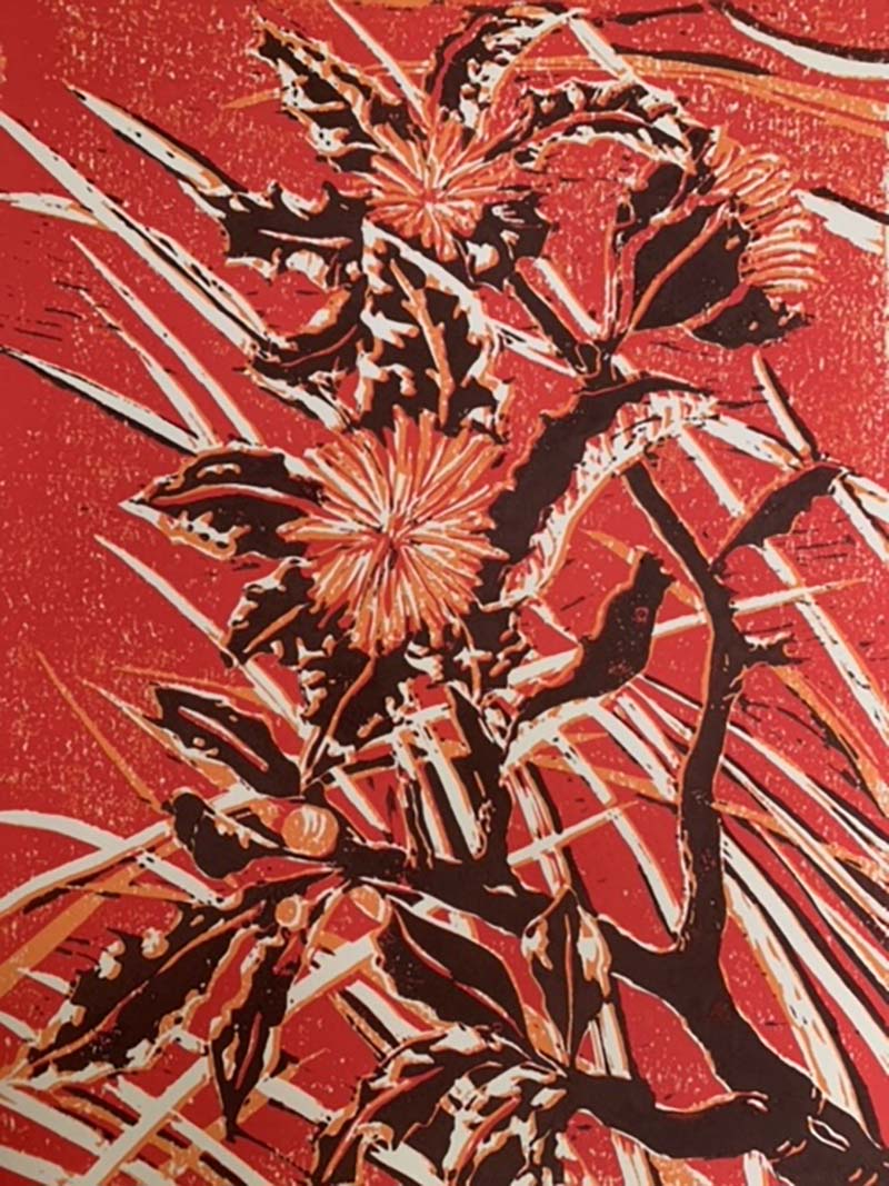 Holly Hakea