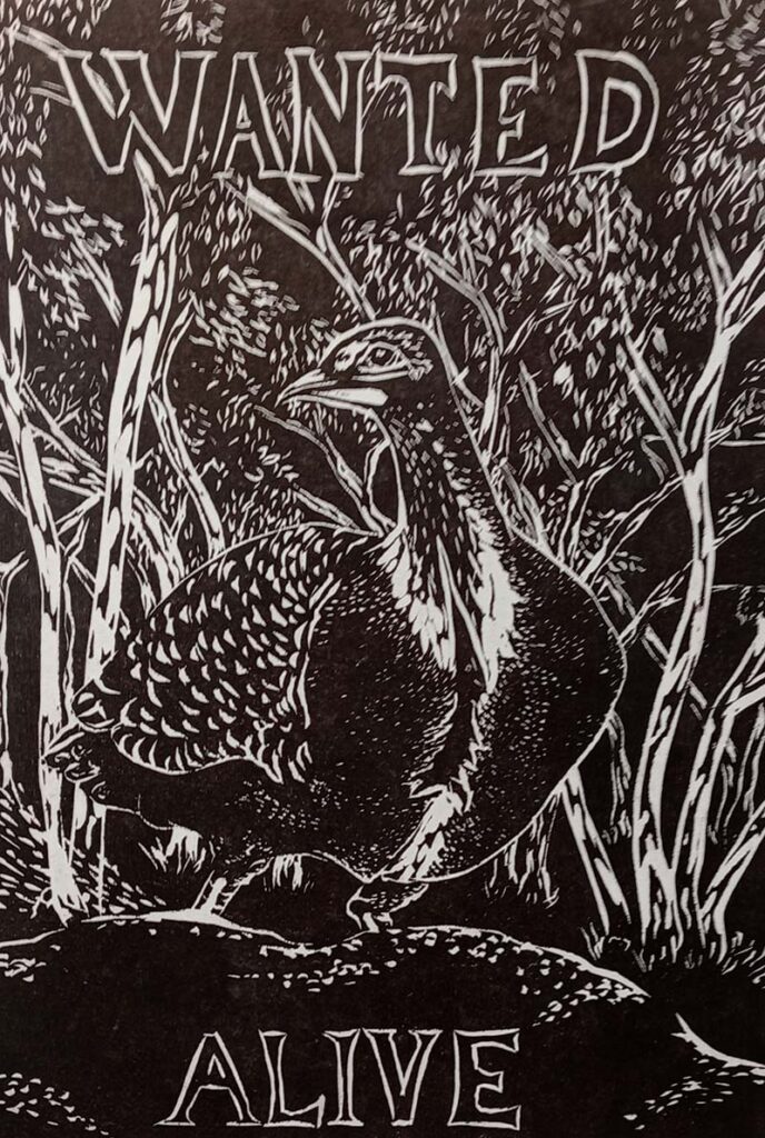 Mallee Fowl 2025