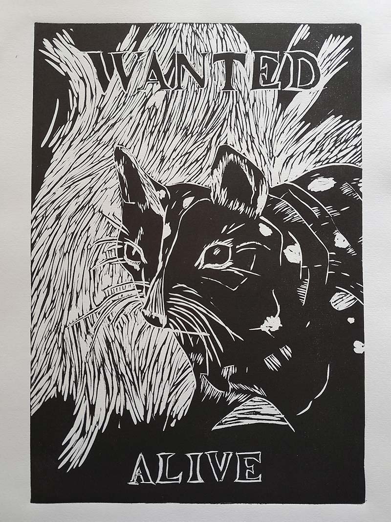 Art print: Chuditch portrait with 'wanted alive' text.