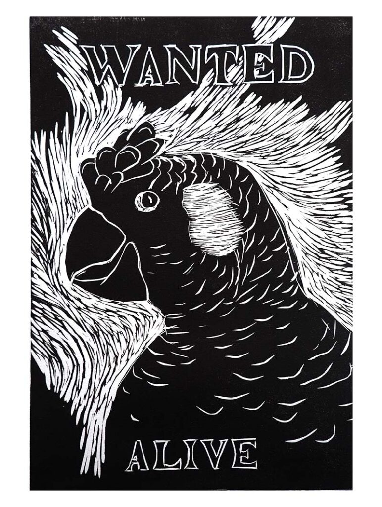 Wanted Alive Cocky