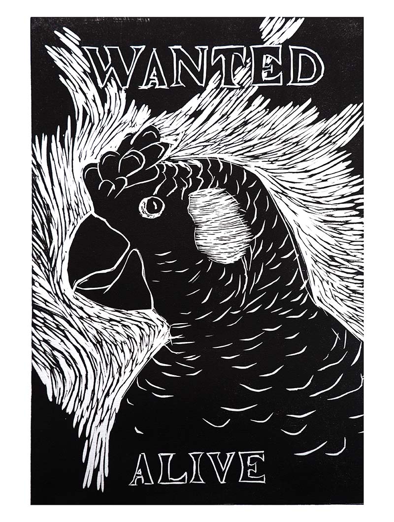 Wanted Alive Cocky